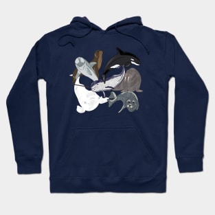 Marine Mammal Grouping Hoodie